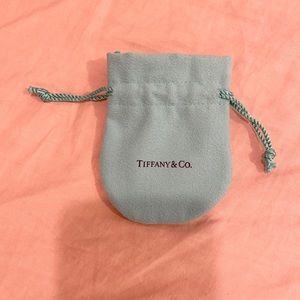 BRAND NEW Tiffany & Co Jewelry Holder Bag